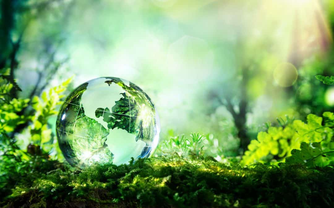 Unknown Environmental Issues That Could Affect Site Development